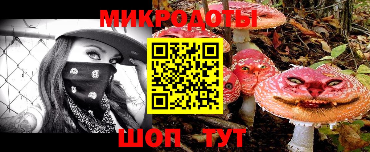 Кингисепп  Псилоцибиновые грибы мухоморы  Псилоцибиновые грибы Psilocybe  Вход с VPN 